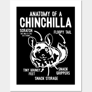 Anatomy Of A Chinchilla - Chinchillas Posters and Art